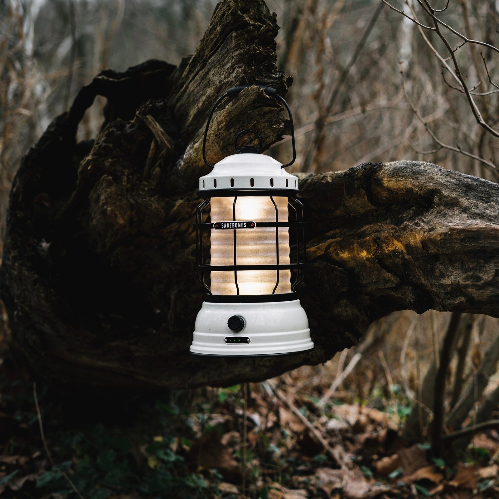 Forest Lantern Kit - Image 19